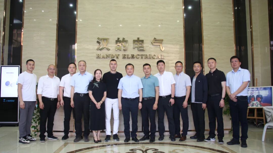 热烈欢迎缙云县委王正飞书记等领导一行莅临汉的电气参观指导！