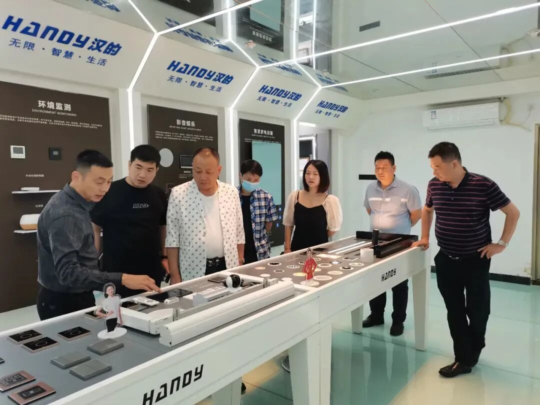 中国建筑材料流通协会执委、副会长李作奇一行莅临汉的电气考察指导工作